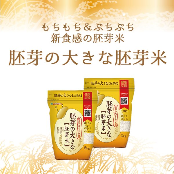 ミツハシ 精米胚芽米 胚芽の大きな胚芽米 2kg