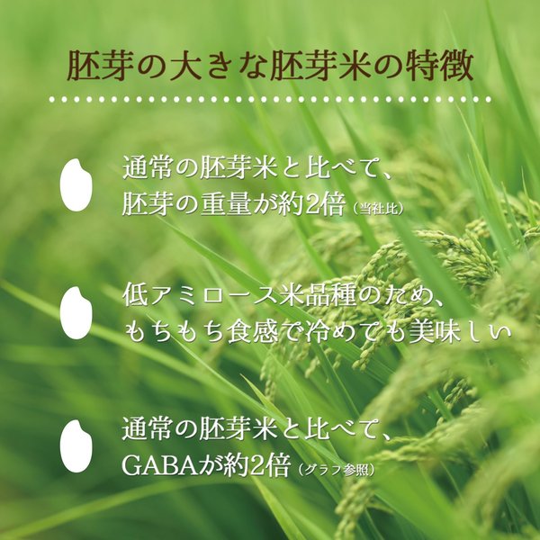 ミツハシ 精米胚芽米 胚芽の大きな胚芽米 2kg