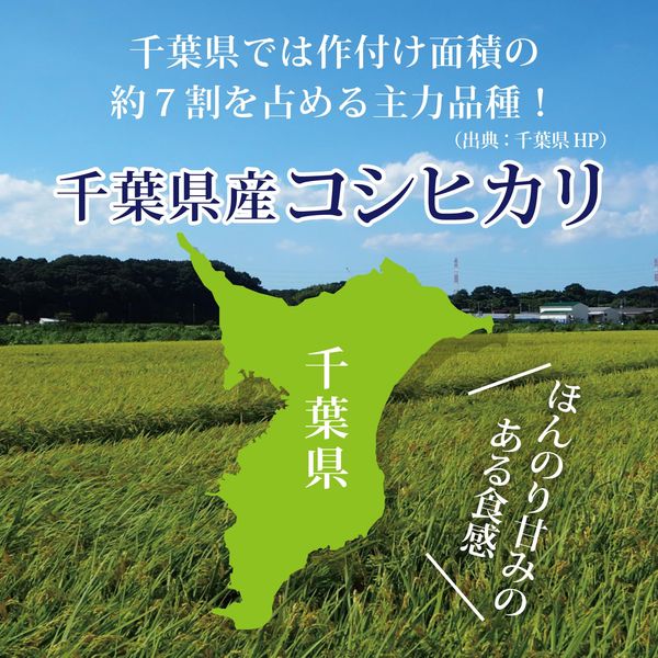 サンプル画像2