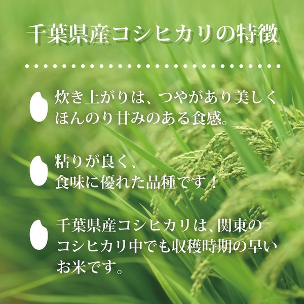サンプル画像3