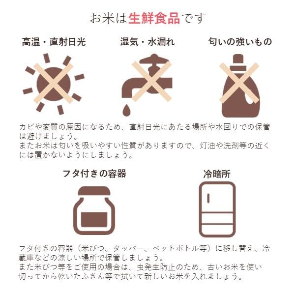 神明精米秋田県産あきたこまち 2kg 令和7年産 vellysupply-10093890 VellySupply サンプル画像3