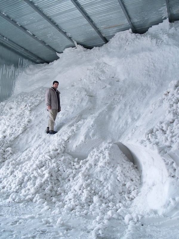 精米 新潟県産 特別栽培米白米 雪蔵氷温熟成 こしひかり 2kg vellysupply-10094068 VellySupply サンプル画像3