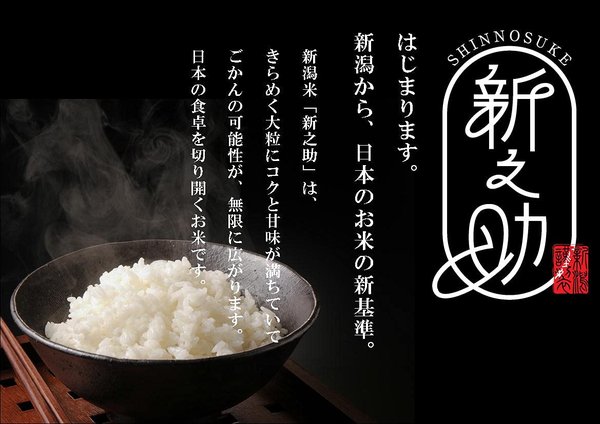 新潟県産 白米 新之助 10kg 令和7年産