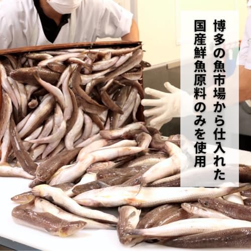 博水[冷凍]博多漁師のえそ生すり身500g 味付き 無添加 国産鮮魚原料のみ 化学調味料なし リン酸塩なし 博多 vellysupply-10094570 VellySupply サンプル画像2