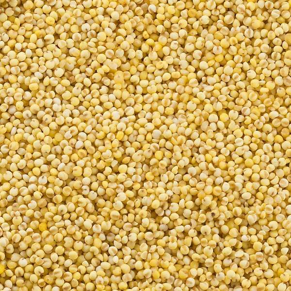 �Ϥ��Ф� ���򥯥å��󥰥���� ������� 120gx8��