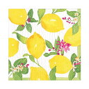 Caspari カスパリ ファッション ペーパー タオル Limoncello 20枚入り 30×30cm おしゃれな紙ナプキン 17410L