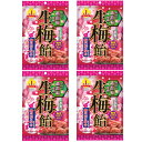 生梅飴(4袋)おまけ付 (アウトレット袋出し、便)梅肉エキス配合 和歌山県産 紀州の南高梅使用 生食感が楽しめるペースト入り キャンディ