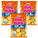 ポテトチップス ★BIG BAG うすしお味 160g 3袋セット カルビー カルビー 大袋 うす塩 ポテチ