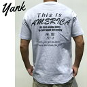 新作 【yank（ヤンク）】This is America プリントTシャツ【アッシュグレー 灰色/白】【S/M/L/XL】 USA 西海岸 アメカジ サーフ Childish Gambino