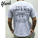 新作 【yank（ヤンク）】This is America プリントTシャツ【アッシュグレー 灰色/白 ホワイト】【S/M/L/XL】 USA 西海岸 アメカジ サーフ Childish Gambino