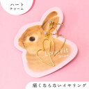 イヤリング ループフィット 痛くない 挟む ノンホールピアス ノンホール シンプル ニッケルフリー アレルギー対応 軽い 小さめ 日本製 上品 人気 おしゃれ ...