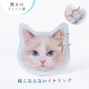 イヤリング ループフィット 痛くない 挟む シンプル ワンポイント スマイル ノンホールピアス ニッケルフリー アレルギー対応 軽い 日本製 上品 人気 おしゃ...