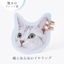 イヤリング ループフィット ミニループ 痛くない 痛くなりにくい 挟む フープタイプ でこぼこ ナチュラル シンプル ノンホールピアス ノンホール ニッケルフリ...