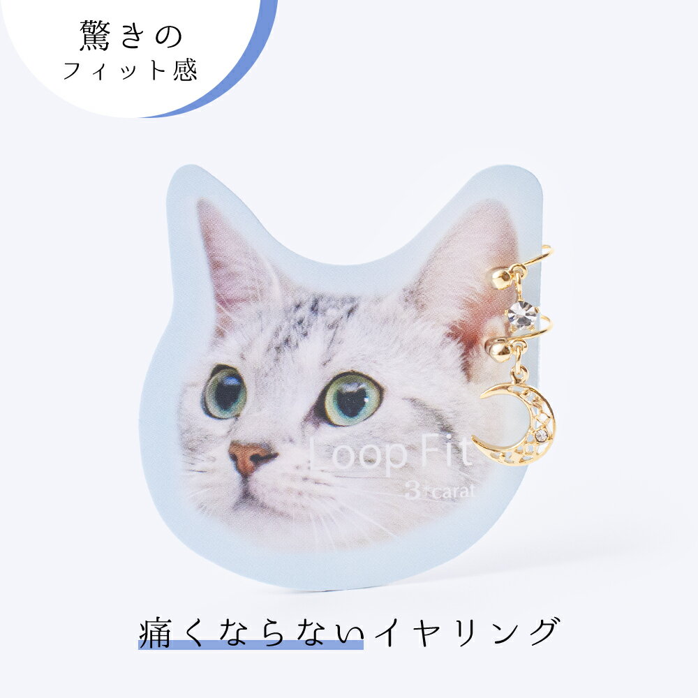 イヤリング ループフィット 痛くない 挟む ノンホールピアス ノンホール ニッケルフリー アレルギー対..