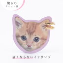 イヤリング ループフィット 痛くない 挟む 軽い ニッケルフリー ノンニッケル ノンホール 普段使い ピアス アクセサリー ゴールド ノンホールピアス アレルギ...