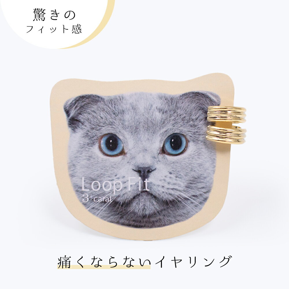  롼ץեå ߥ˥롼  ˤʤ ˤʤˤ  ץ Υۡԥ Υۡ ˥åե꡼ 륮б ڤ ...