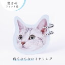 イヤリング ループフィット 痛くない 挟む フープタイプ Gタイプ シンプル ロジウム ノンホールピアス ノンホール シンプル ニッケルフリー アレルギー対応 ...