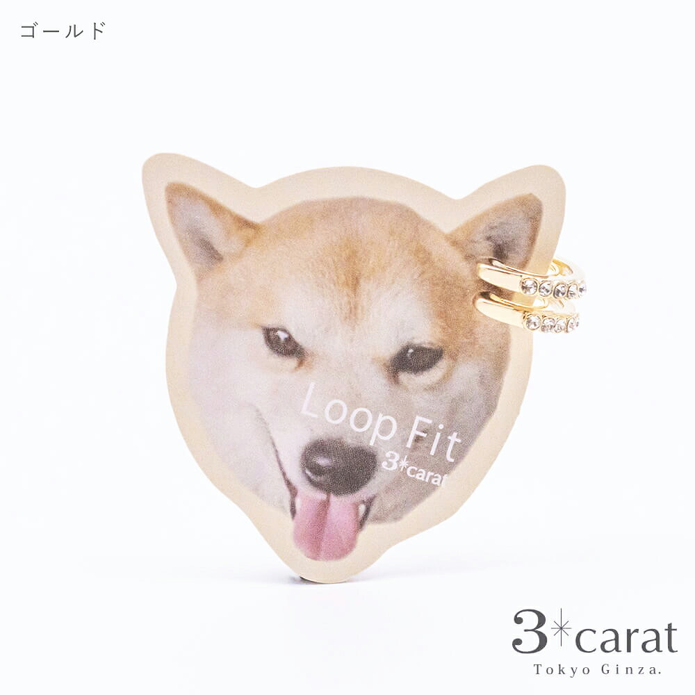 3carat ループフィット 痛くない 挟む イヤリング ノンホールピアス ゴールド ロジウム ピンクゴールド シンプル カラー フープ ニッケルフリー アレルギー対応 軽い 日本製 上品 人気 おしゃれ かわいい キラキラ きらきら レディース 女性 ギフト プレゼント venice-10004834 3carat(スリーカラット) サンプル画像2