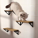 Wisfor キャットステップ キャットウォーク 賃貸 壁 DIY 猫 足場 おしゃれ 3点セット 木目調 北欧 可愛い 耐荷重10kg