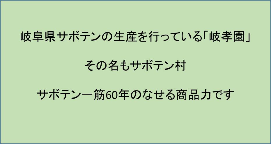 金鯱 キンシャチ ゴールデン パレスカクタス 玉サボテン サボテン 8号 引っ越し祝...