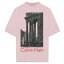 CALVIN KLEIN STANDARDS / Ruins Collage T-Shirt