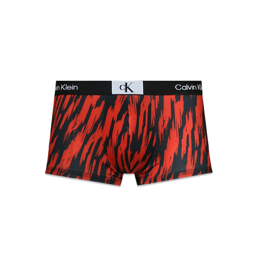 CALVIN KLEIN UNDERWEAR / 1996 Micro Low Rise Trunk