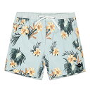 TCSS / Solstice Board Shorts