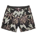 TCSS / Calypso Board Shorts