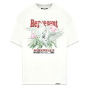 REPRESENT / Double Distilled T