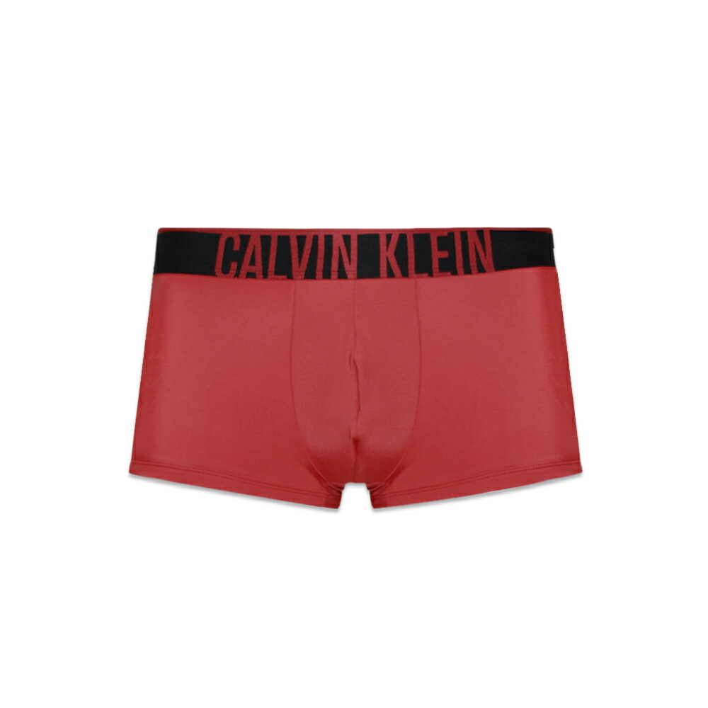 CALVIN KLEIN UNDERWEAR / Inten