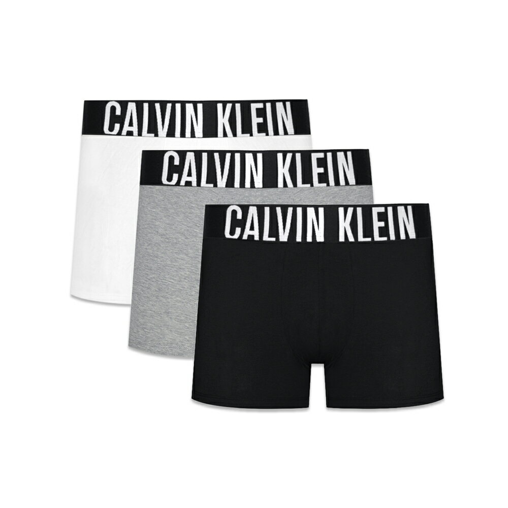 CALVIN KLEIN UNDERWEAR / Inten