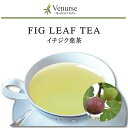 国産イチジク葉茶 ノ