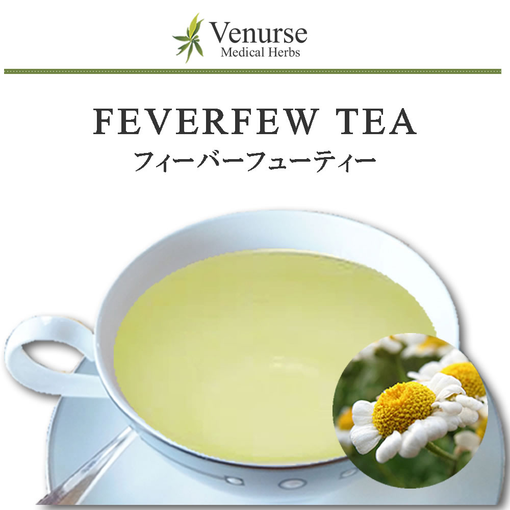 【楽天スーパーSALE】フィーバーフュー 送料無料 農薬検査済 ノンカフェイン ナツシロギク お茶 袋 茶 葉 ハーブ リーフ ティーパック ティーバッグ ハーブティー ティー ヴィーナース