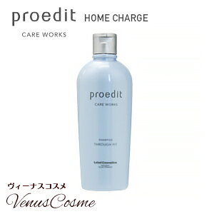Lebel ルベル プロエディット ケアワークス スルーフィット 300ml シャンプー ヘアケア　ストレートパーマのお手入れにおすすめ！