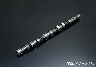 個人宅発送可能！ HKS CAMSHAFT カムシャフト（単品） NISSAN ニッサン RB26DETT BNR32・BCNR33・WGNC34改 EXHAUST (2202-RN131)