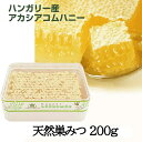 【クリアランスセール！】生 ハニカム 160g サバンナビー 蜂蜜 ハチミツ【Savannah Bee】Raw Acacia HoneyComb Mini 5.6 oz