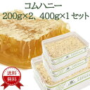 【送料無料：200g×2 + 400g×1＝3個セット】コムハニー / 巣蜜 / ハチミツ / はちみつ / ハニカム / ハニーコム / 巣みつ / 蜂蜜 / 蜂の巣 / ハチノス / 蜜蝋 / ハニー【賞味期限 2028年4月】鉄腕ダッシュ 鉄腕DASH ミツバチ 新宿DASH 母の日