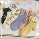 靴下 レディース 可愛い 春秋冬 ソックス 5足セット カラフルソックス おしゃれ カジュアル