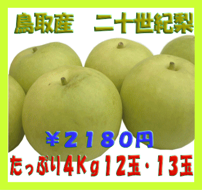 鳥取産　二十世紀梨　約4Kg12玉〜13玉　シャッキリ、ジューシー　【送料無料】のサムネイル