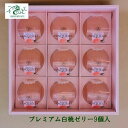 ベルジェ・レコルテ プレミアム白桃ゼリー9個入 白桃 もも 洋菓子 ゼリー お取り寄せスイーツ プレゼント お返し 御中元御歳暮(4)