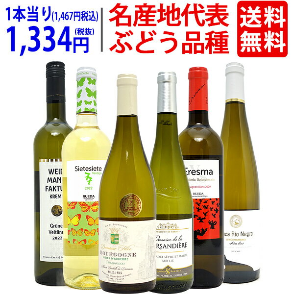 ワイン飲み比べセット ワイン ワインセット名産地 代表ぶどう品種 白6本セット 送料無料 飲み比べセット ギフト ^W0S329SE^