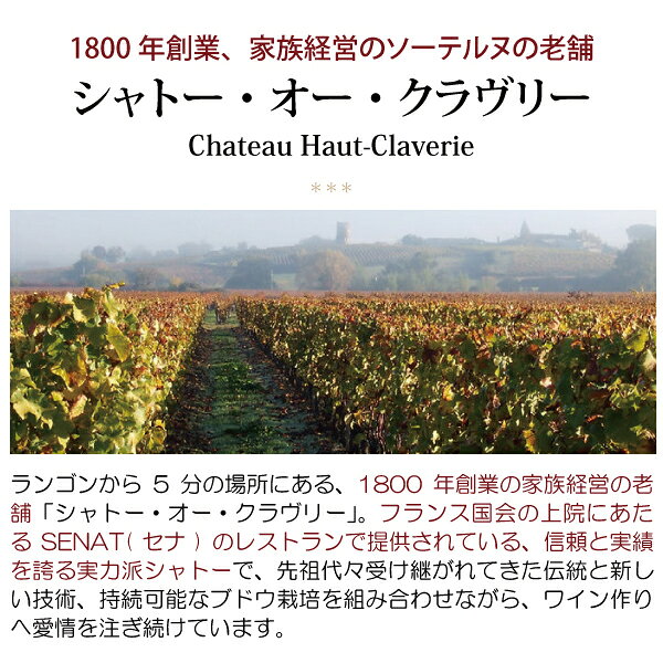 [2019] シャトー オー クラヴリー ハーフ 375ml (ソーテルヌ ボルドー フランス)貴腐 白ワイン コク極甘口 ワイン ^AJCV01G9^ veritas-10060097 ヴェリタス〜輸入直販ワイン専門店 サンプル画像2