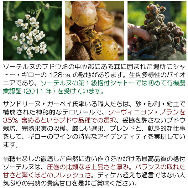 ヴェリタス〜輸入直販ワイン専門店の[2020] プティ ギロー ハーフ 375ml (ソーテルヌ ボルドー フランス)貴腐 白ワイン コク極甘口 ワイン ^AJGR23GA^｜アングル3