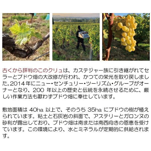 [2022] シャトー ド ビロ ハーフ 375ml (AOC カディヤック ボルドー フランス)貴腐 白ワイン コク極甘口 ワイン ^ANBI23GC^ veritas-10060093 ヴェリタス〜輸入直販ワイン専門店 サンプル画像3