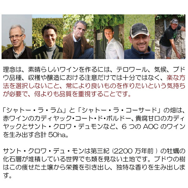 [2020] シャトー ラ ラム グルマンディーズ ハーフ 375ml (AOC サント クロワ デュ モン ボルドー フランス)貴腐 白ワイン コク極甘口 ワイン ^ANRC23GA^ veritas-10062012 ヴェリタス〜輸入直販ワイン専門店 サンプル画像3