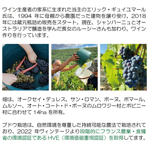 【ショップ・オブ・ザ・イヤー2022受賞店舗】【よりどり6本で送料無料】