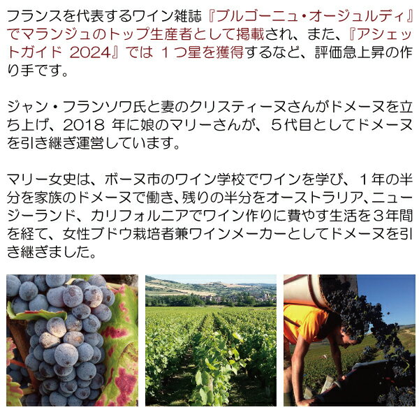 よりどり6本で送料無料[2022] ブルゴーニュ ルージュ ピノ ノワール 750ml ドメー...