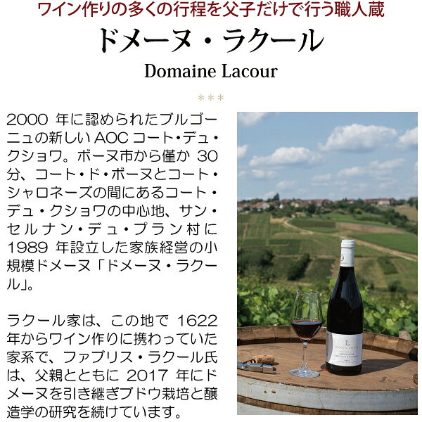 よりどり6本で送料無料[2023] ブルゴーニュ ルージュ ピノ ノワール 750ml ドメーヌ ラクール(ブルゴーニュ フランス)赤ワイン コク辛口 ワイン ^B0LUPN23^ veritas-10058922 ヴェリタス〜輸入直販ワイン専門店 サンプル画像2