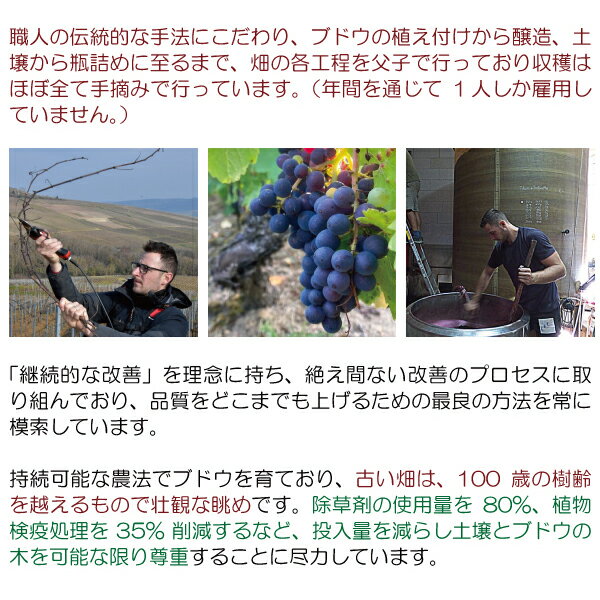 【ショップ・オブ・ザ・イヤー2022受賞店舗】【よりどり6本で送料無料】