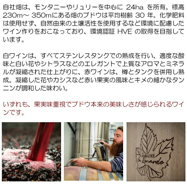 よりどり6本で送料無料2019 モンタニー プルミエ クリュ レ シャニオ 750ml ドメー...